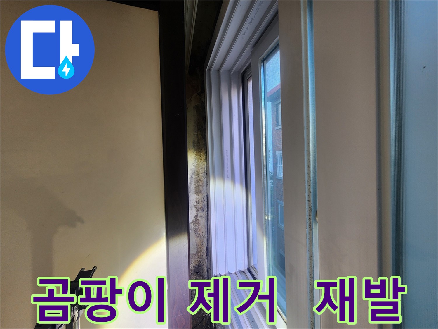 공릉동 창문 곰팡이 문제 - 건강 위협 및 재발 방지 중요