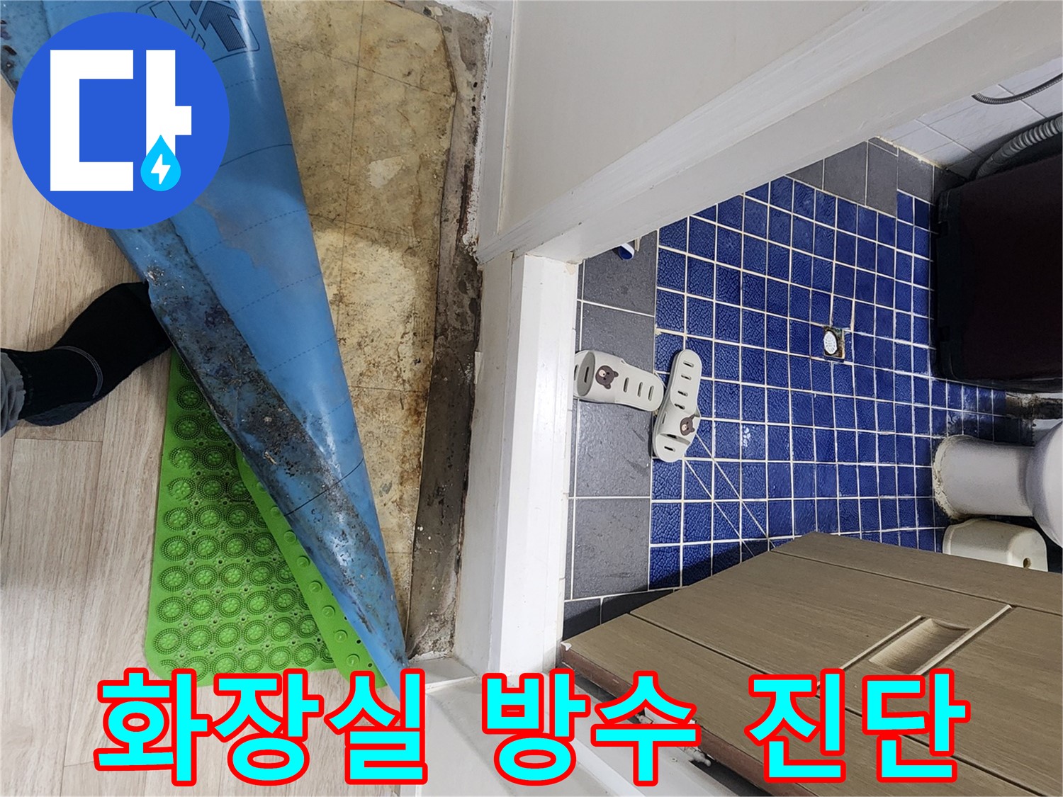 공릉동 화장실 누수 의심 - 장판 아래 습기와 곰팡이 냄새