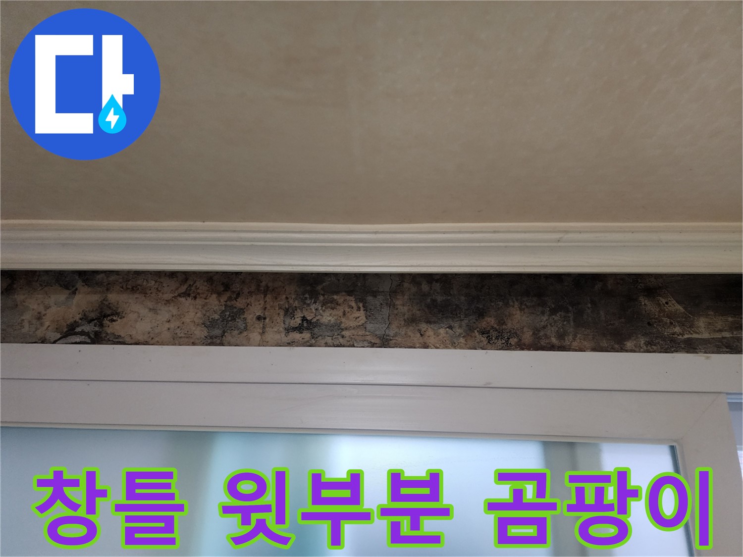 노원구 공릉동 누수 현장 - 창틀 윗부분 곰팡이 발생 원인 진단 및 해결 과정