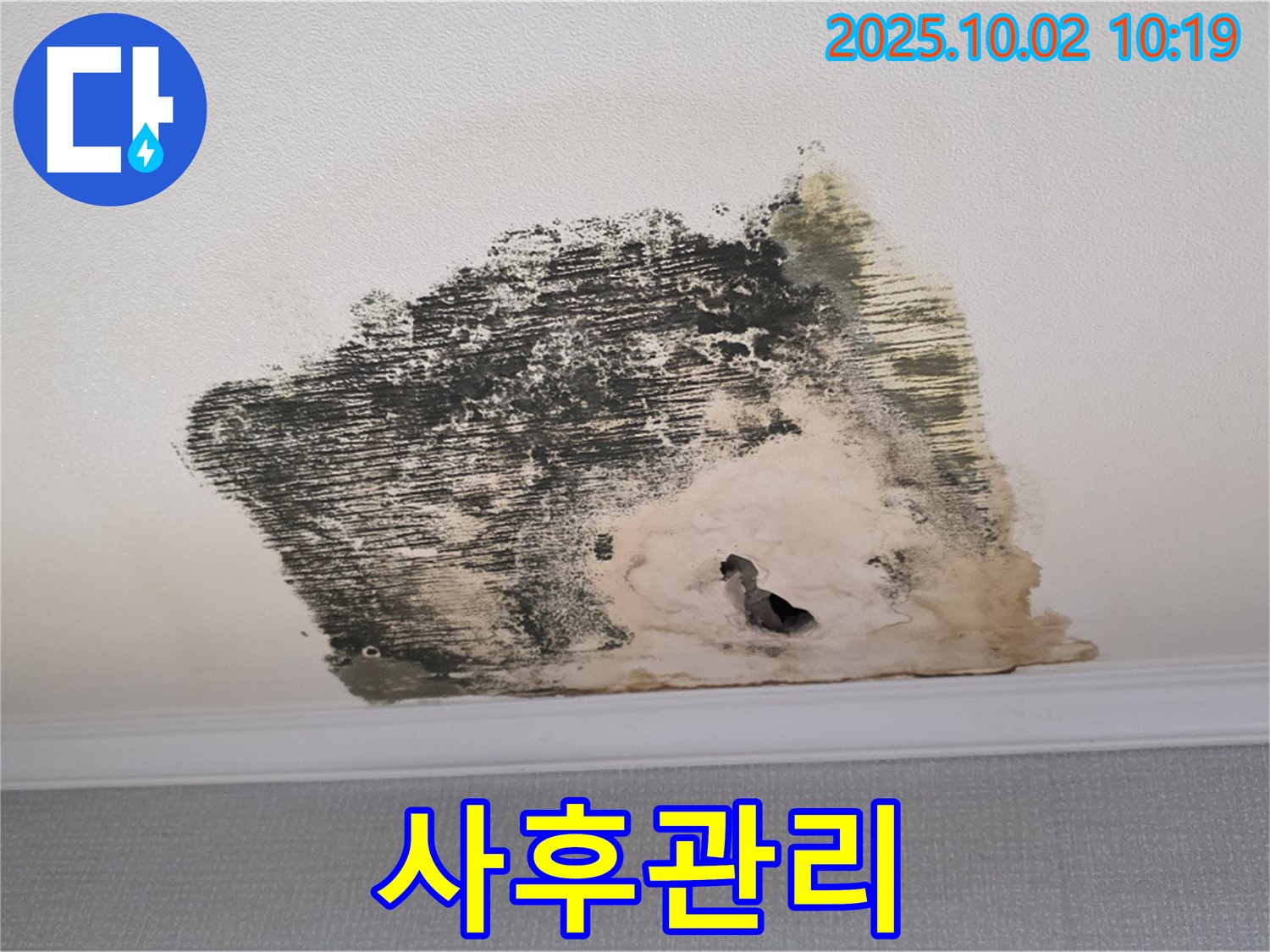 양주시 남면 신산리 주택 누수 시공 후 완벽한 사후관리 - 꼼꼼한 점검으로 고객 만족도를 높입니다.