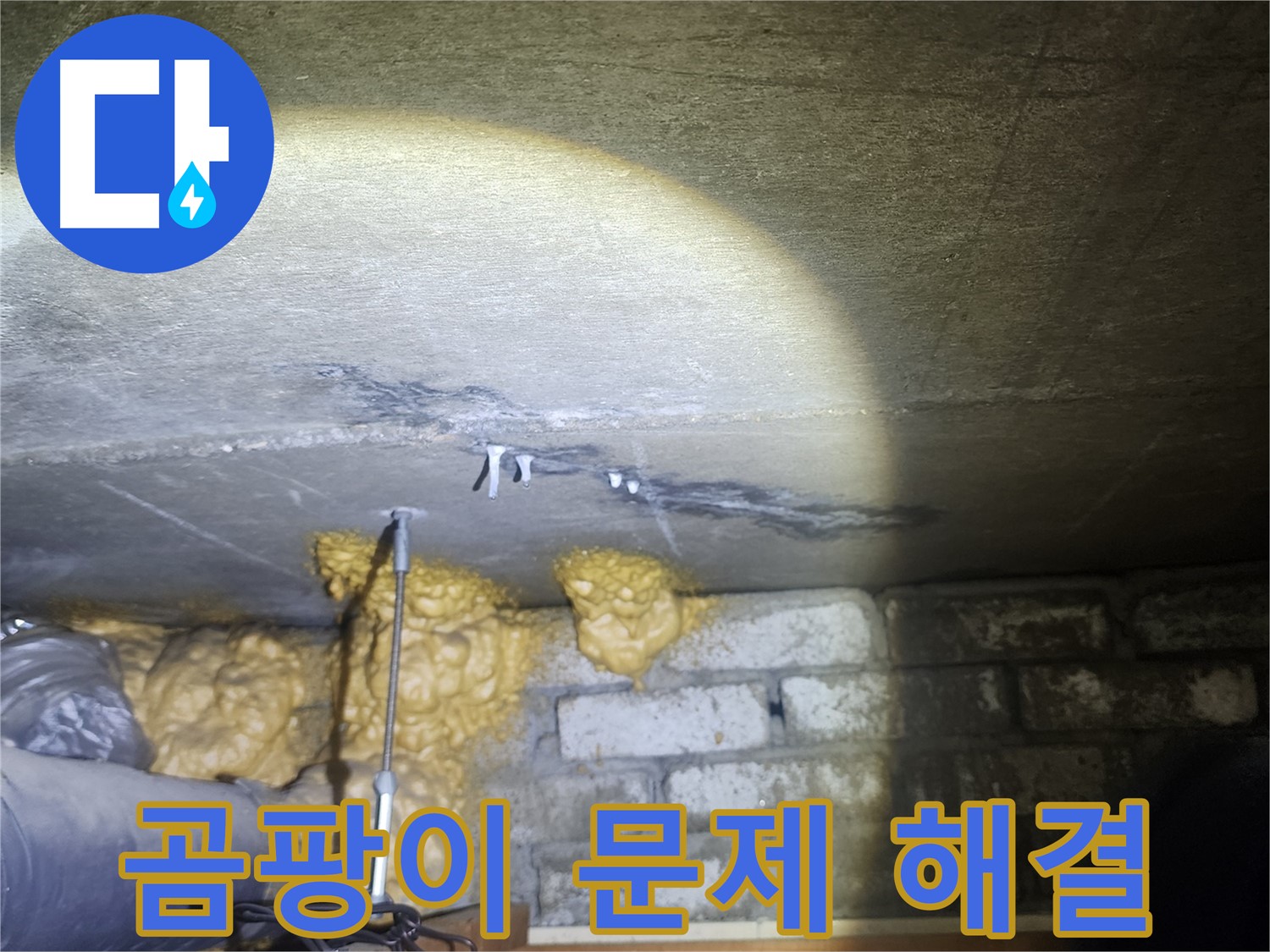 벽 곰팡이 문제 해결 쾌적한 환경 되찾기