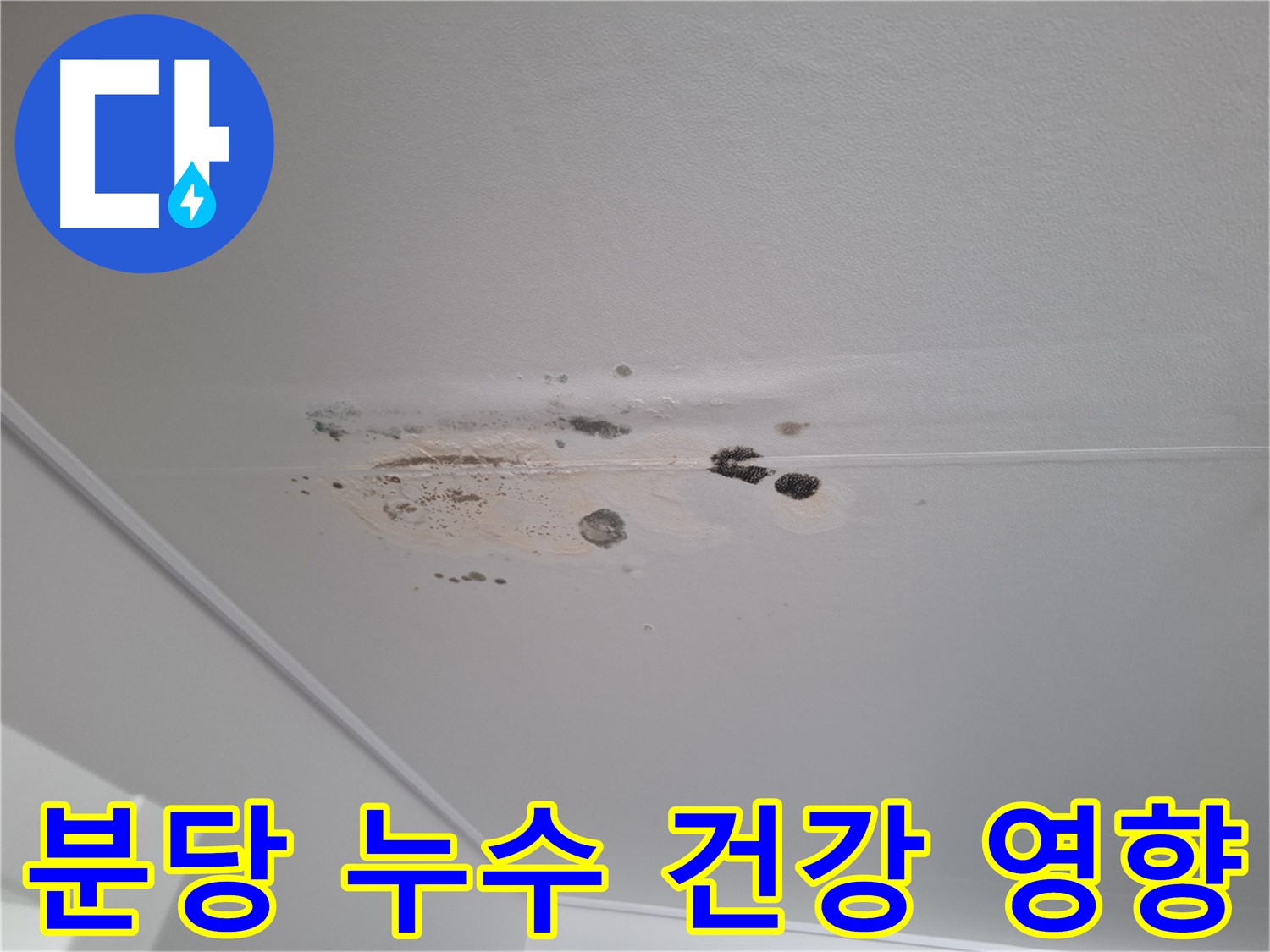 누수 오염 - 건강에 치명적, 빠른 해결!