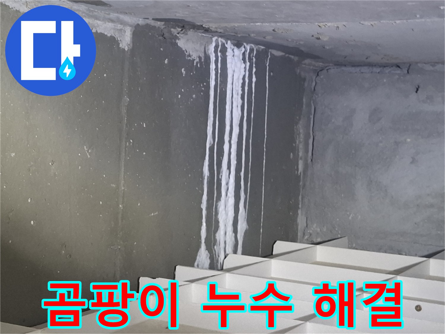 봇들마을2단지 - 곰팡이 핀 벽, 누수 해결하고 쾌적하게!