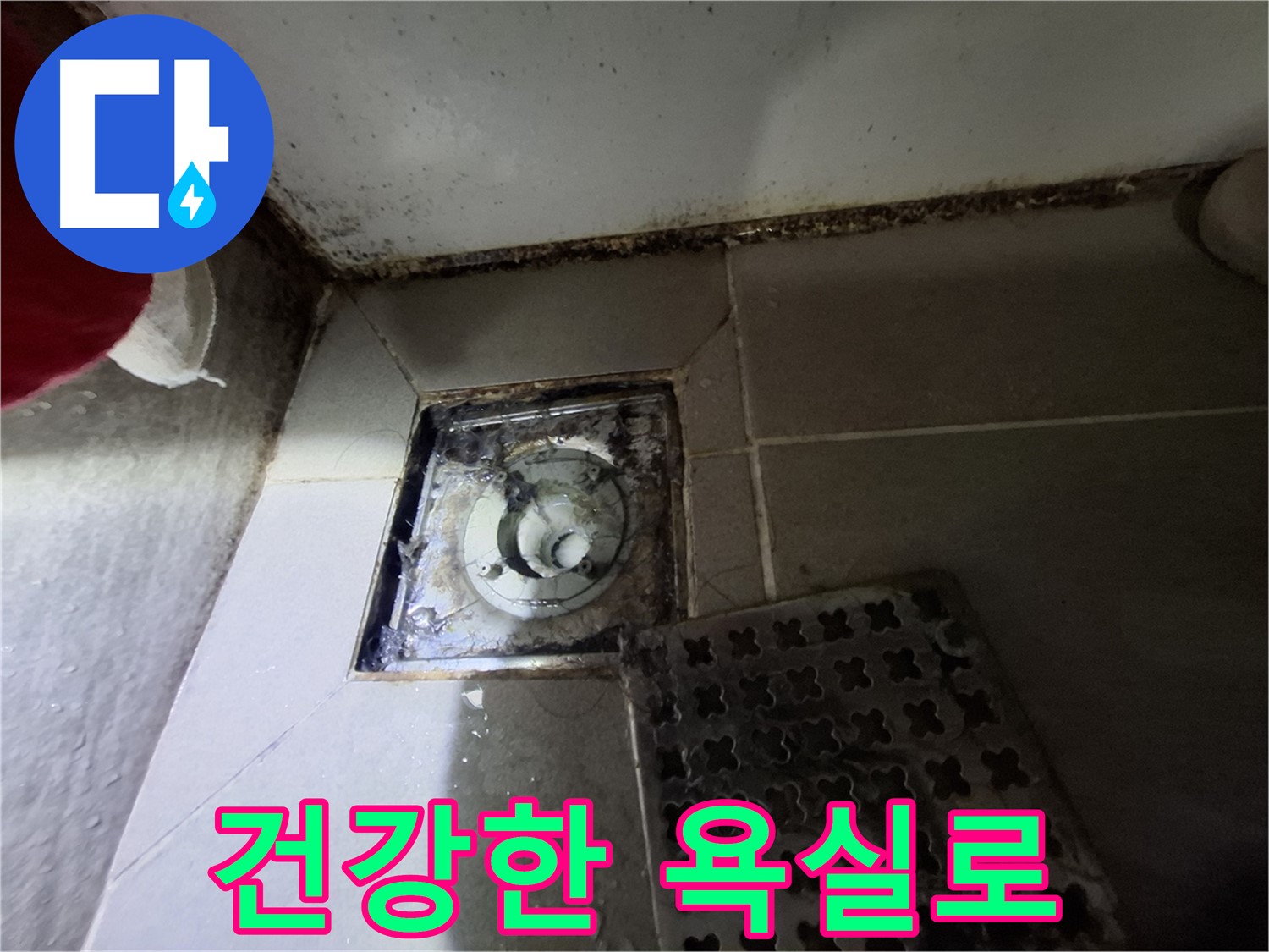 봇들마을2단지 아파트 욕실 - 곰팡이 싹쓰리 제거, 건강한 욕실