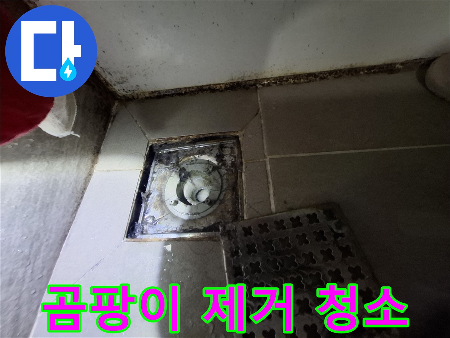 봇들마을2단지 아파트 욕실 - 곰팡이 제거 및 청소 서비스 제공