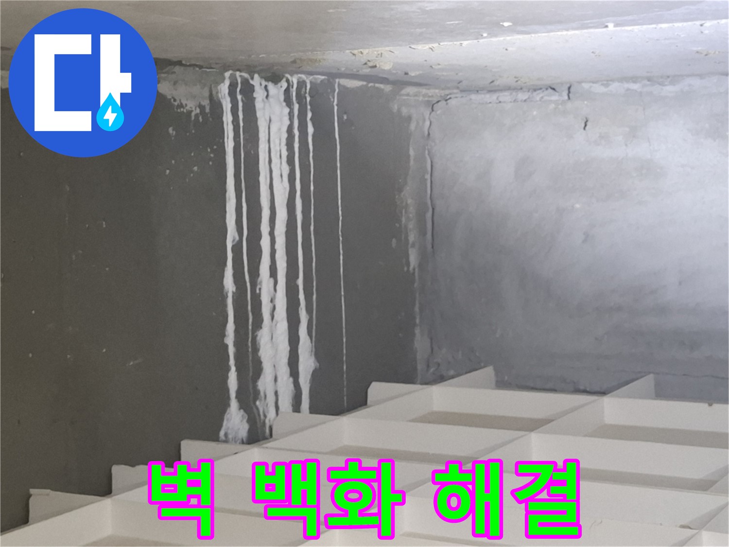 분당 누수 문제 해결 - 벽 백화 현상, 하얀 곰팡이 발생 원인 꼼꼼하게 파악하여 확실하게 해결