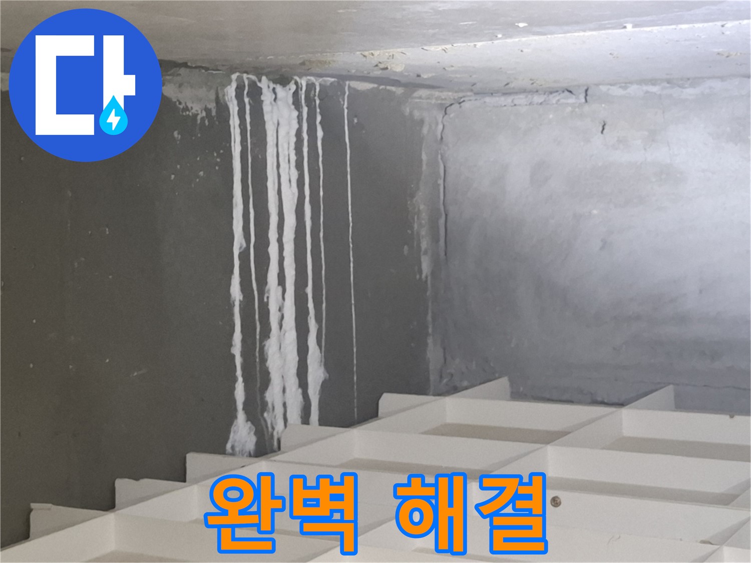 분당 누수 - 삼평동 아파트 곰팡이와 백화 현상을 완벽하게 해결하는 전문 업체의 시공 사례