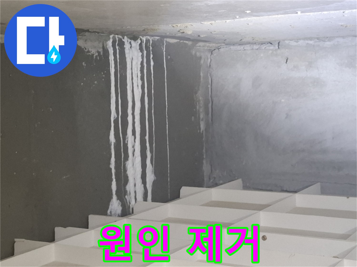 분당 누수 - 삼평동 아파트 곰팡이와 백화 현상의 확실한 원인을 제거하는 전문적인 시공