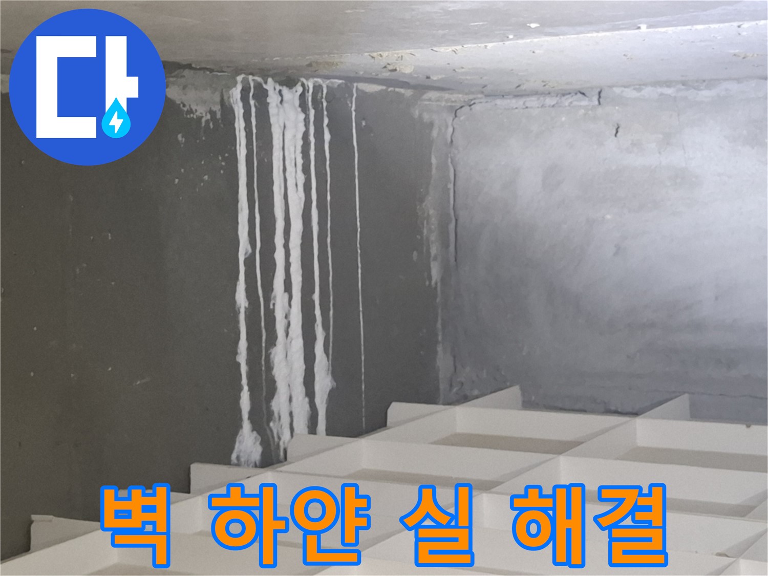 분당 누수 - 삼평동 아파트 벽에 맺힌 하얀 실 문제, 진단부터 시공까지 원스톱 솔루션 제공