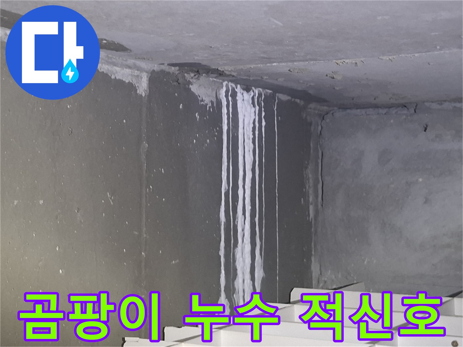 분당 봇들마을 건물 벽 누수 - 곰팡이로 건강 위협