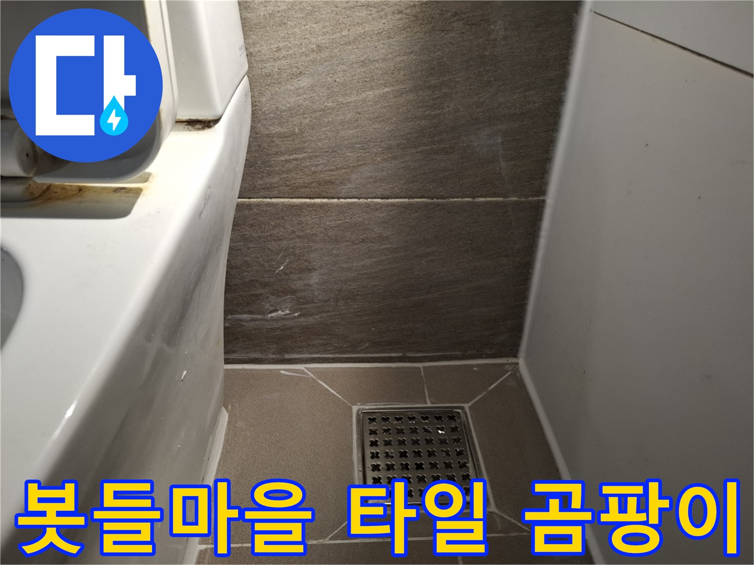 분당 봇들마을 변기 옆 타일 틈새 곰팡이 - 누수 의심