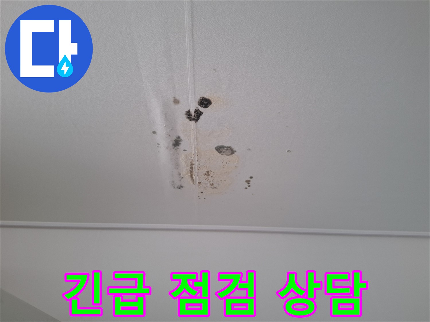 분당 봇들마을 봇들마을2단지 아파트 - 천장 누수 긴급 점검 및 친절한 상담을 제공합니다.