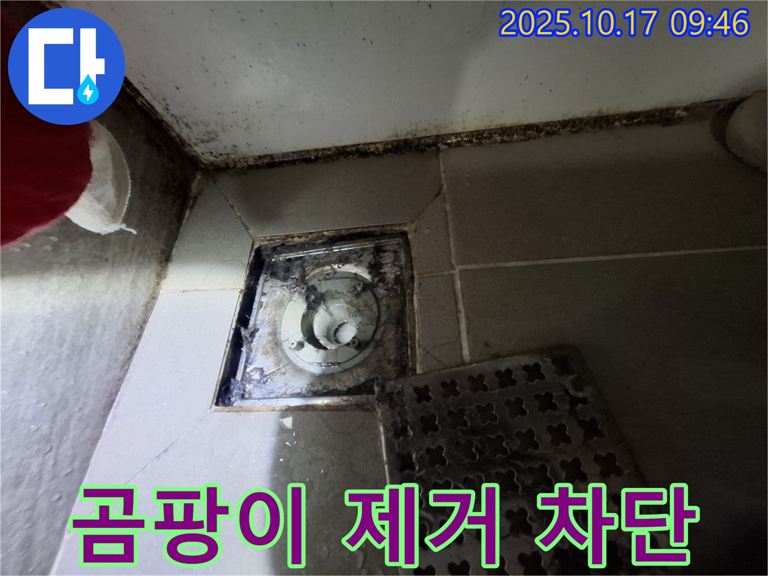 분당 봇들마을 아파트 욕실 배수구 곰팡이 제거 - 누수 완벽 차단 - 안심하고 사용하세요.