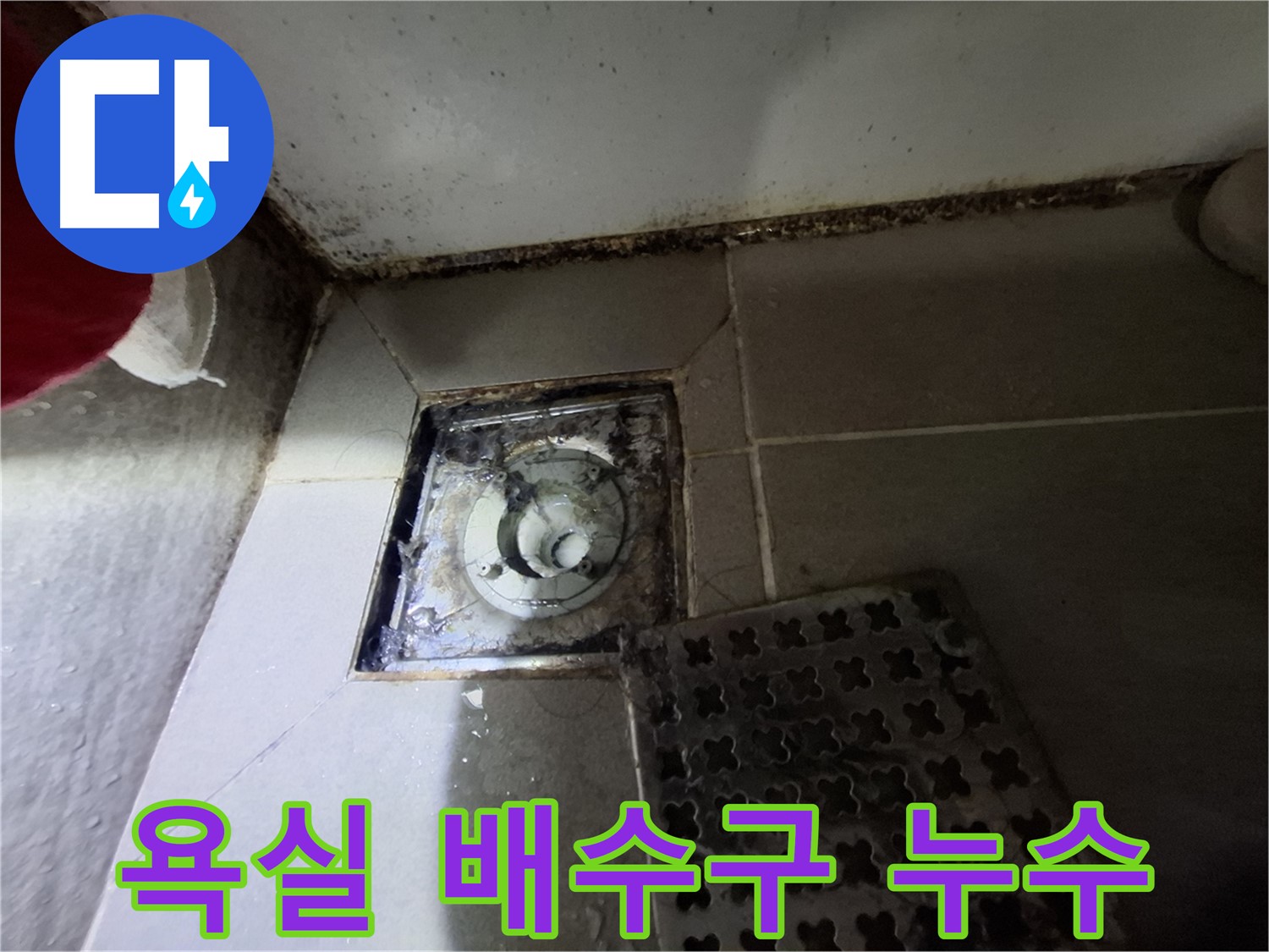 분당 봇들마을 아파트 욕실 배수구 누수 - 문제 해결 과정 상세 기록