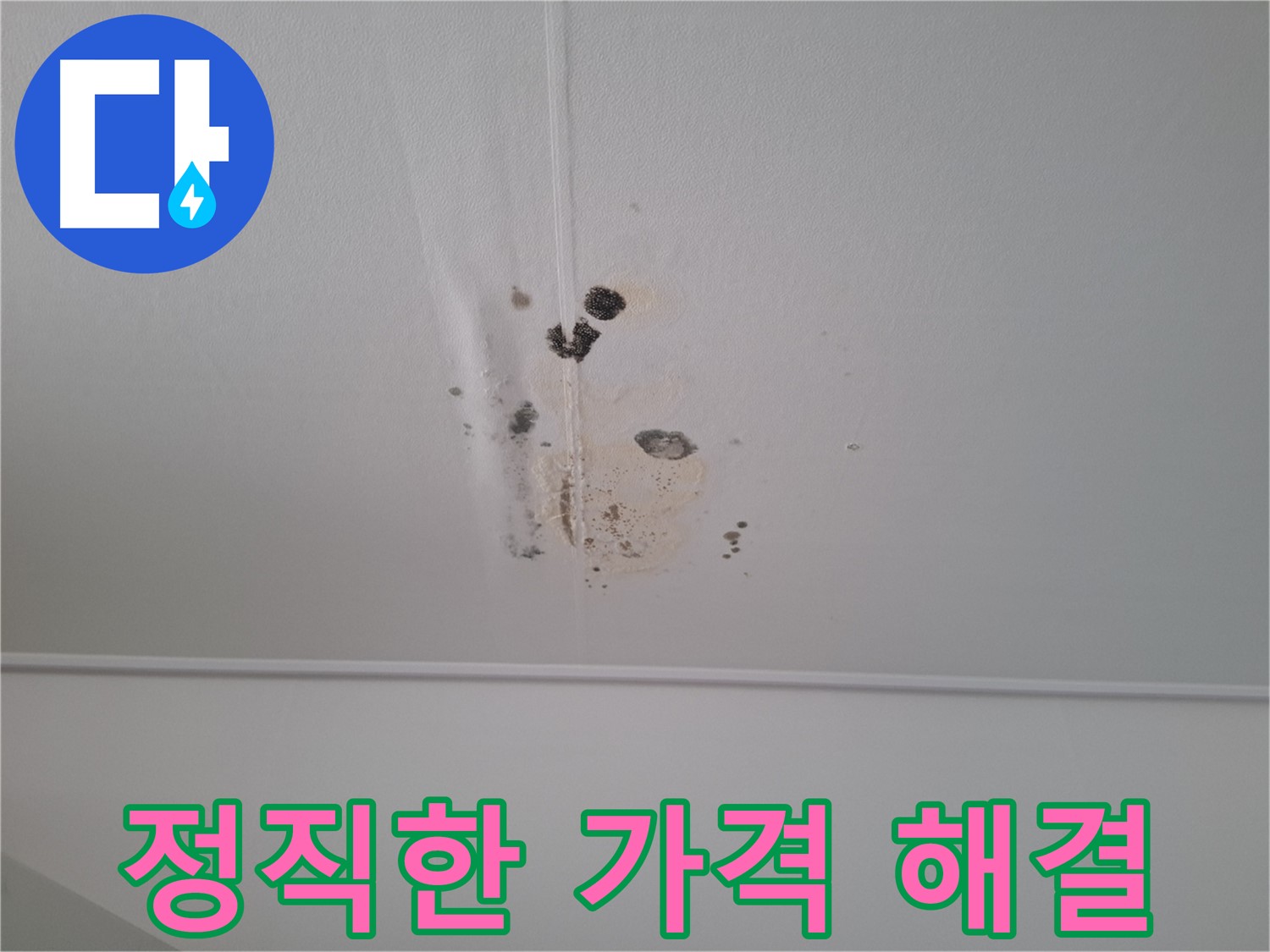 분당 봇들마을 아파트 - 정직한 가격으로 누수 문제를 완벽하게 해결해 드립니다.