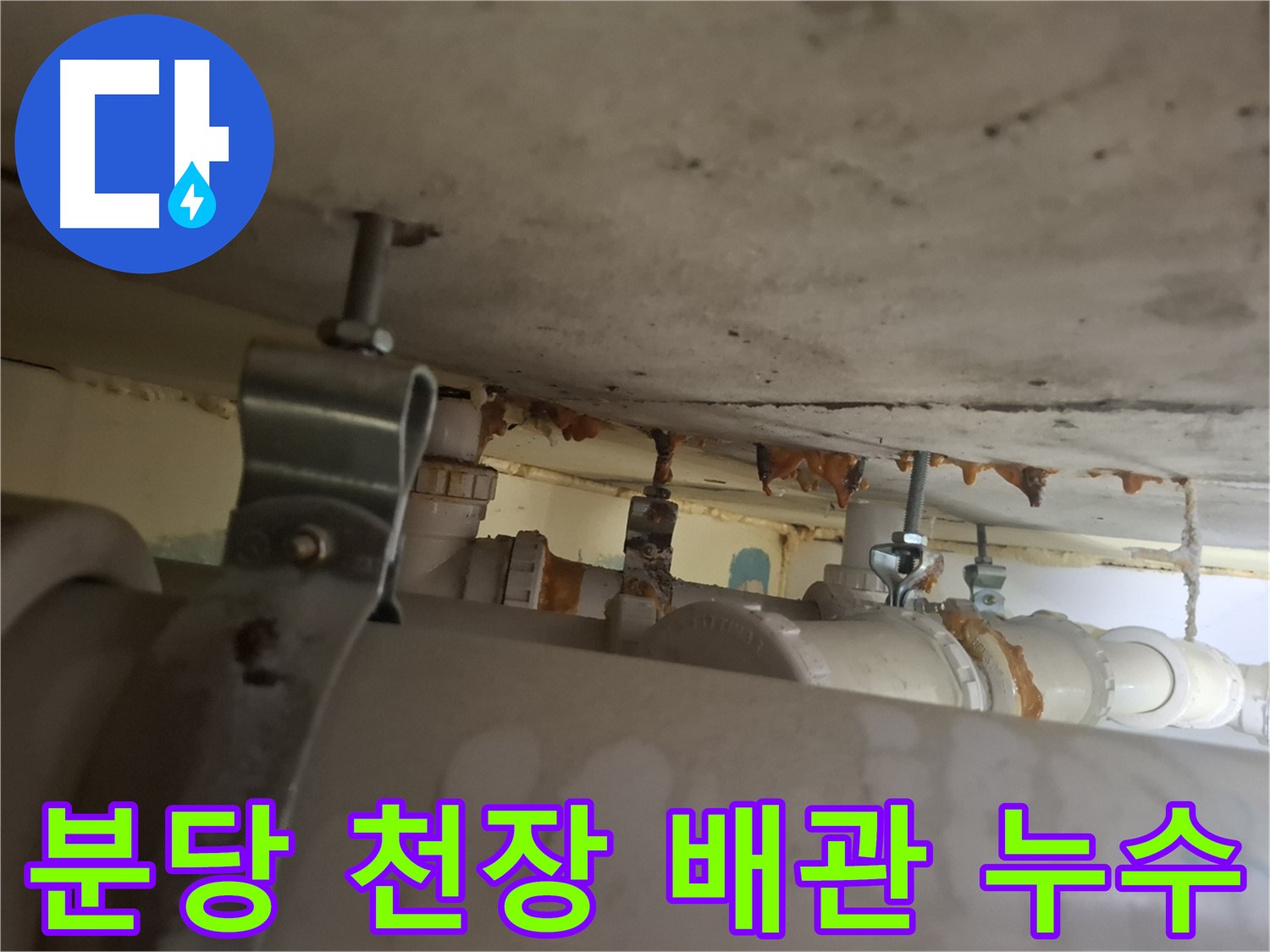 분당 봇들마을 아파트 - 천장 배관 연결부, 누수 꼼꼼하게 확인