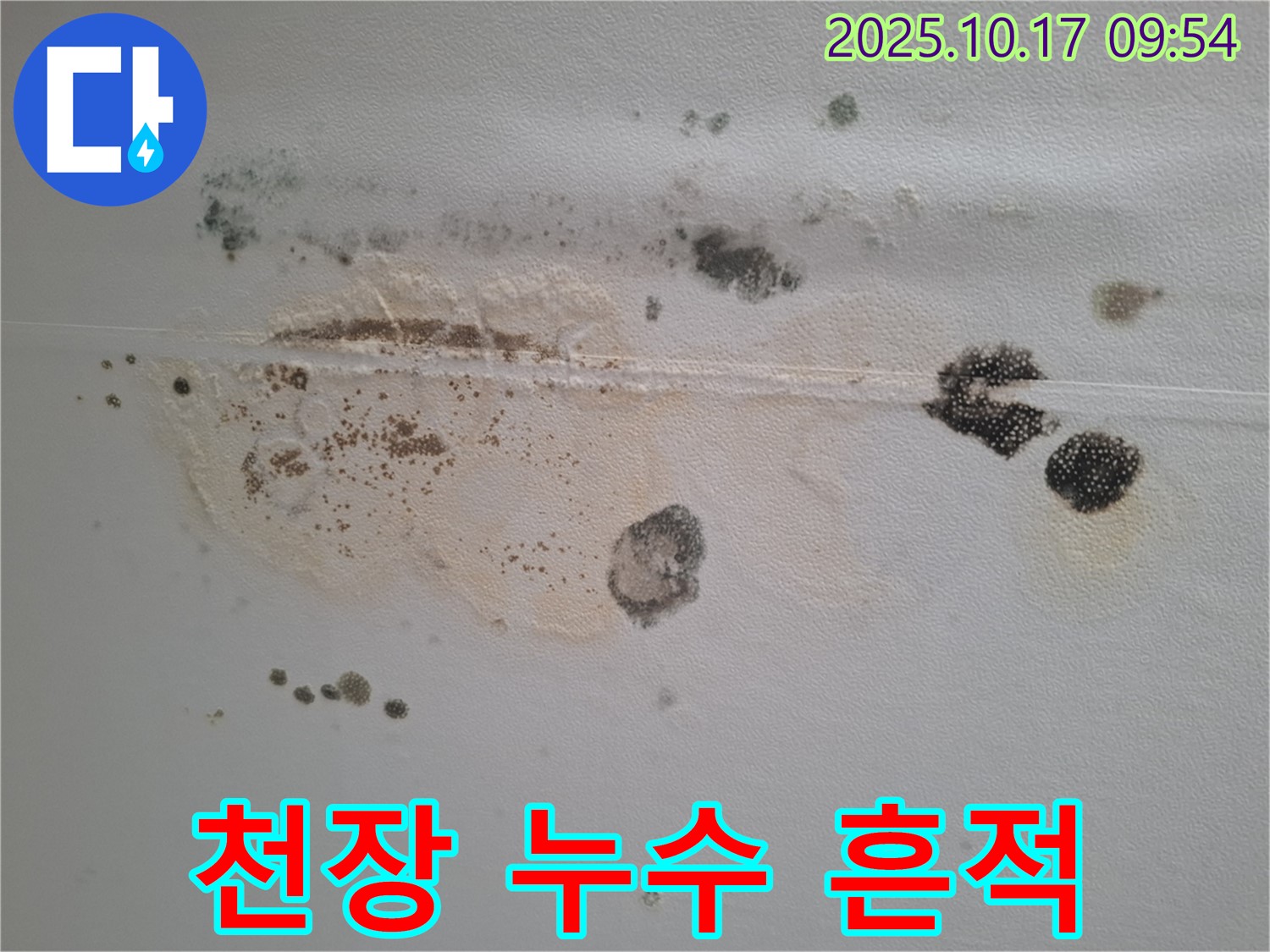 분당 봇들마을 아파트 천장에서 발견된 누수 흔적 - 곰팡이와 변색으로 인한 피해 상황