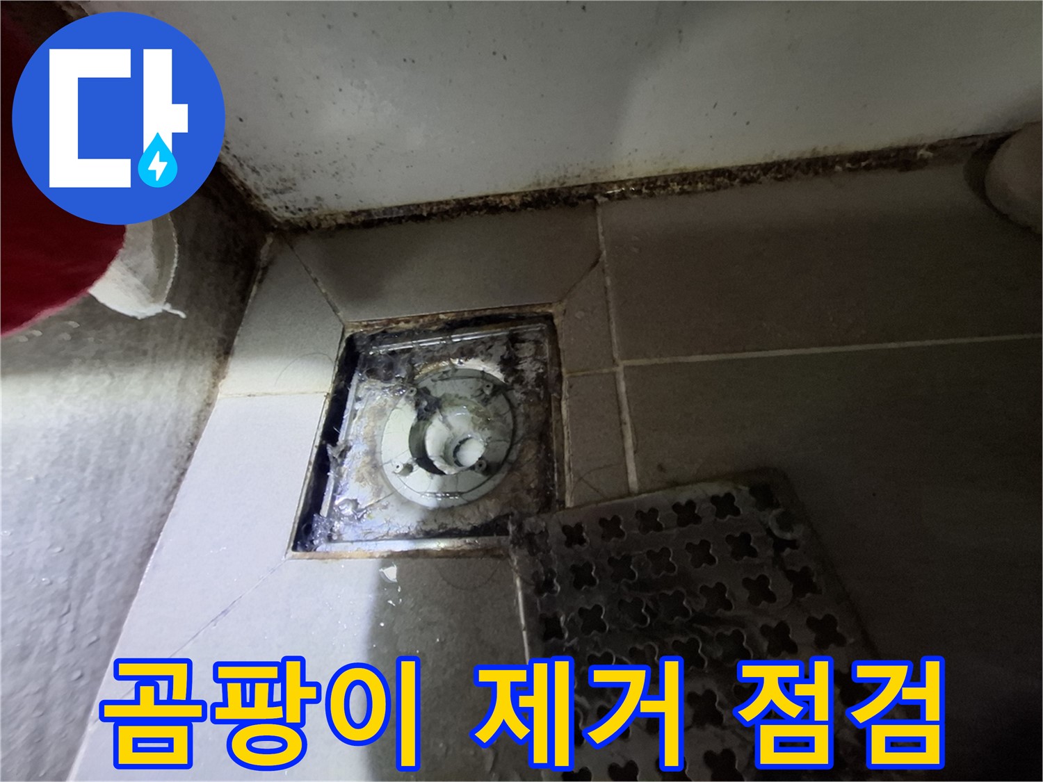 분당 봇들마을 욕실 - 곰팡이 제거 및 누수 점검 서비스 제공