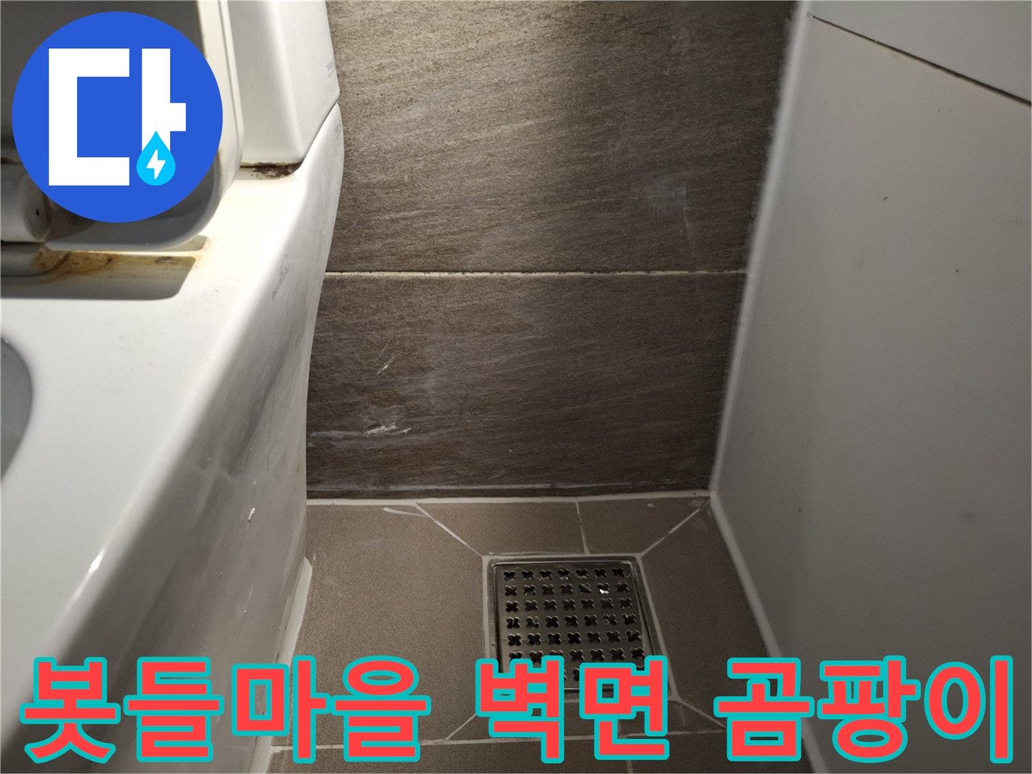 분당 봇들마을 화장실 벽면 곰팡이 - 습기 - 누수?