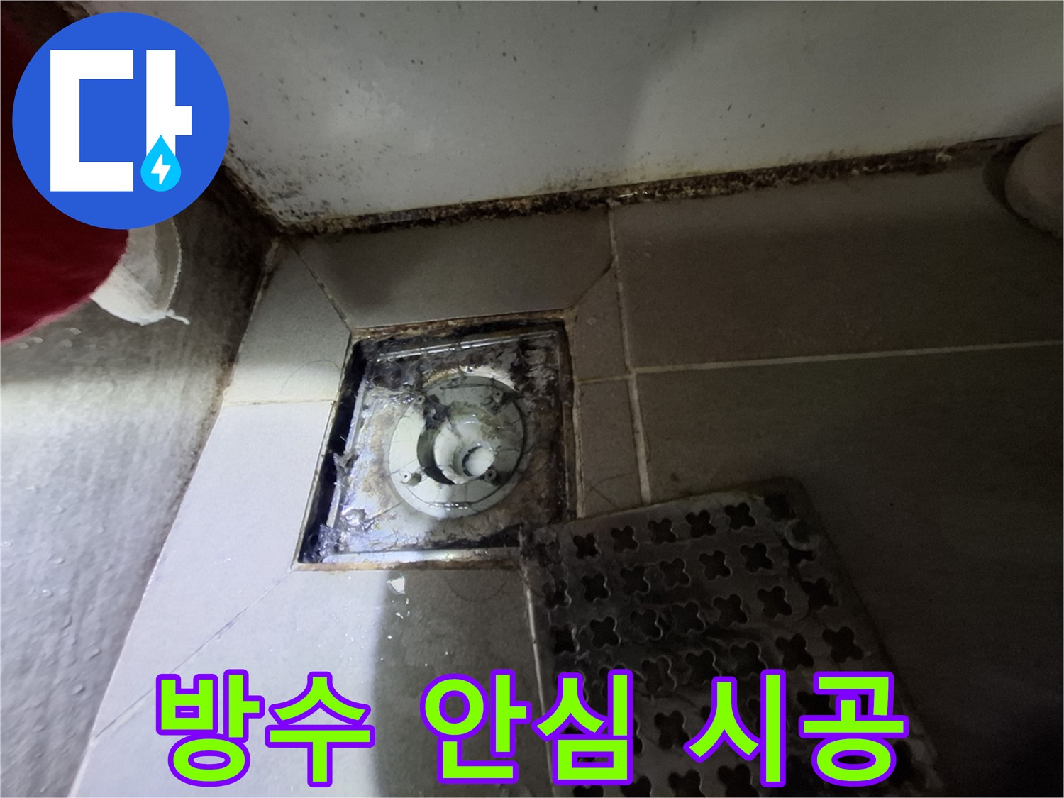 분당 봇들마을2단지 욕실 - 곰팡이 제거 후 완벽 방수, 안심 시공