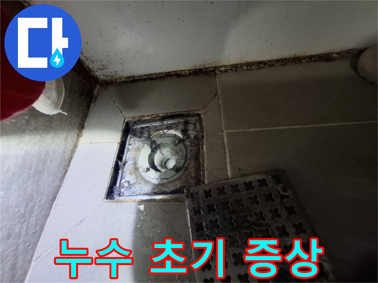 분당 봇들마을2단지 욕실 - 배수구 주변 곰팡이, 누수 초기 증상 의심