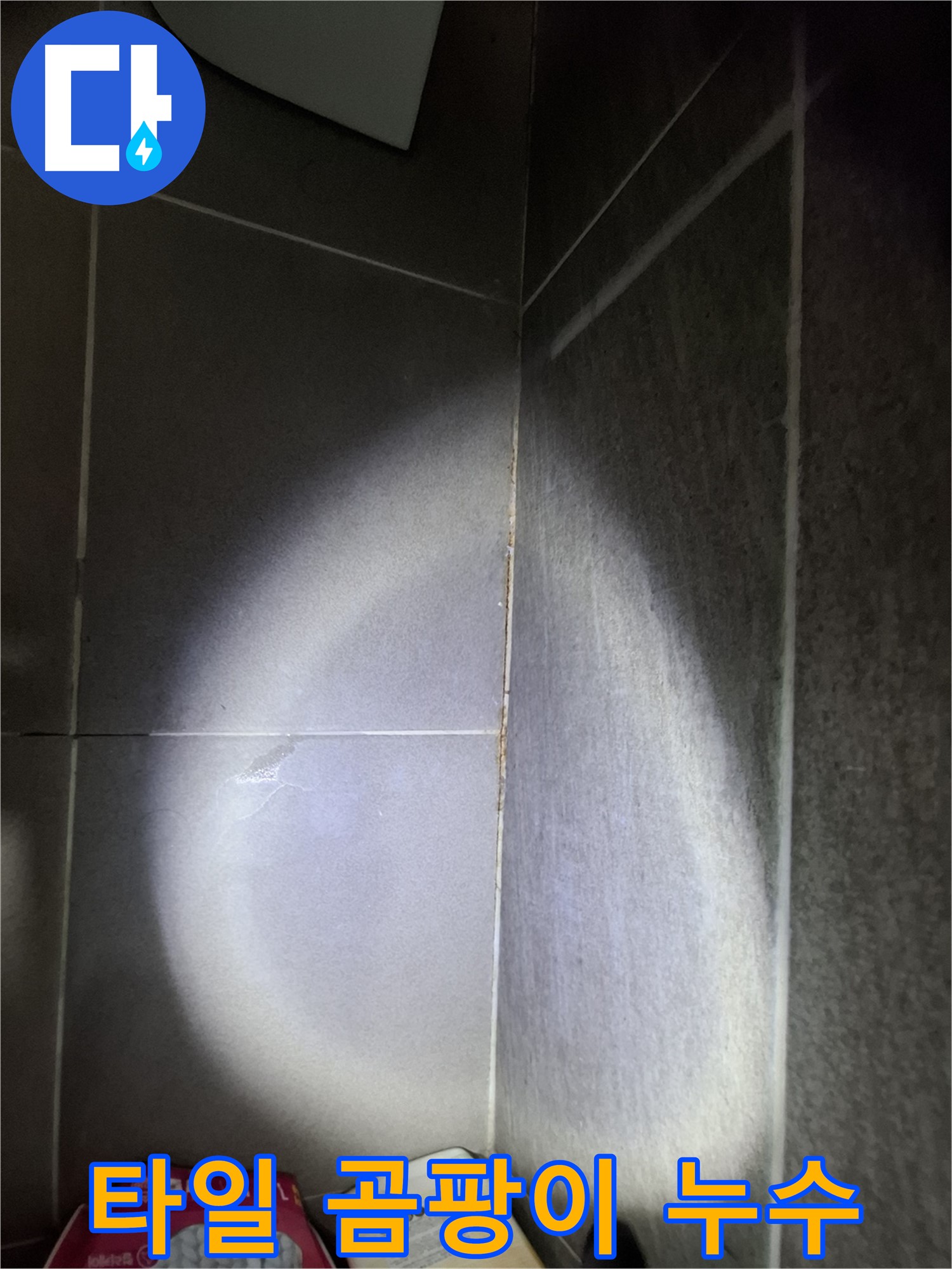 분당 삼평동 봇들마을 욕실 타일 곰팡이 - 누수 원인 분석