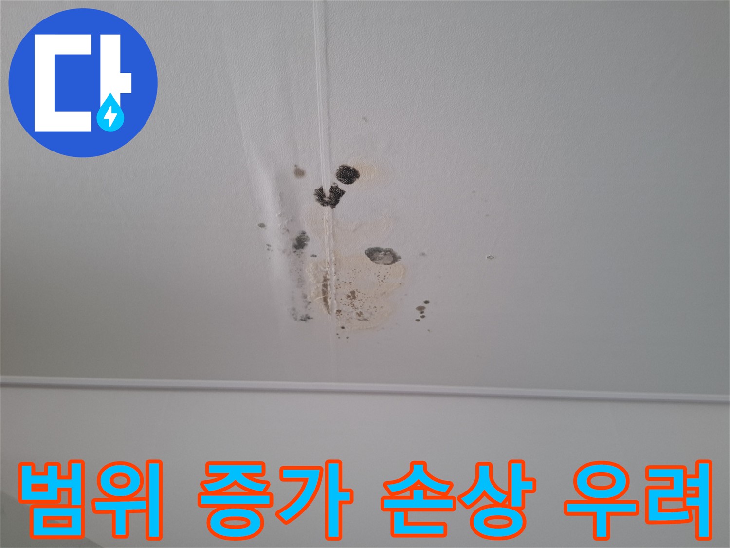분당 삼평동 봇들마을2단지 아파트 - 누수 범위가 증가하고 있어 - 건물 손상이 우려됩니다.