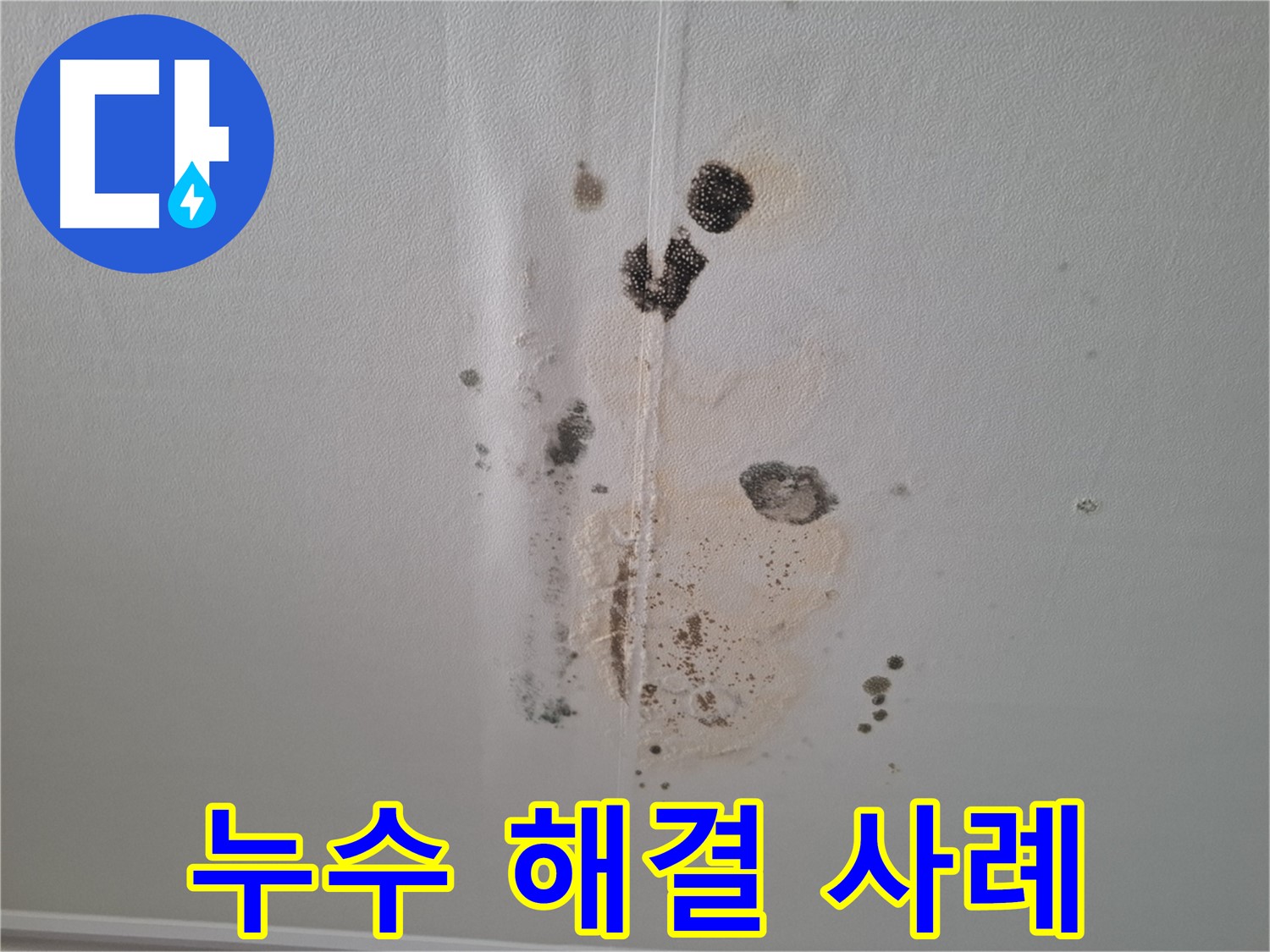 분당 삼평동 아파트 누수 해결 사례 - 천장 곰팡이 제거 및 완벽 시공