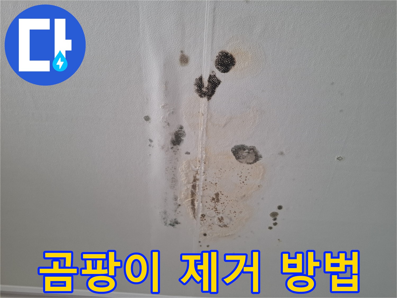 분당 삼평동 아파트 천장 곰팡이 제거 - 확실한 방법과 시공 과정