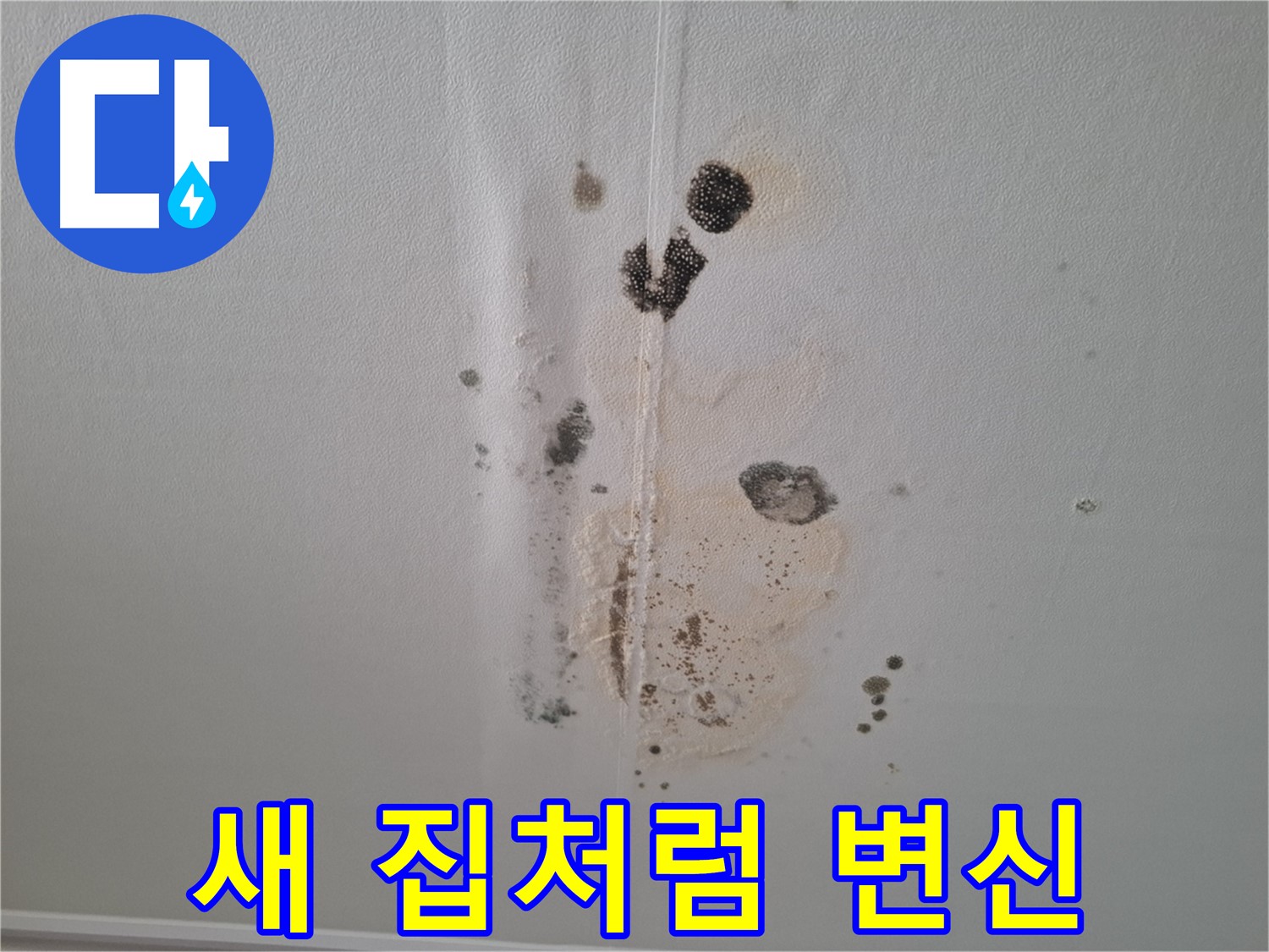 분당 아파트 누수 해결 - 완벽한 시공으로 새 집처럼 변신