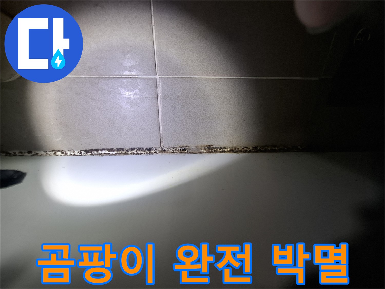 분당 욕조 곰팡이 완벽 해결 - 곰팡이 완전 박멸을 위한 최첨단 장비 시공