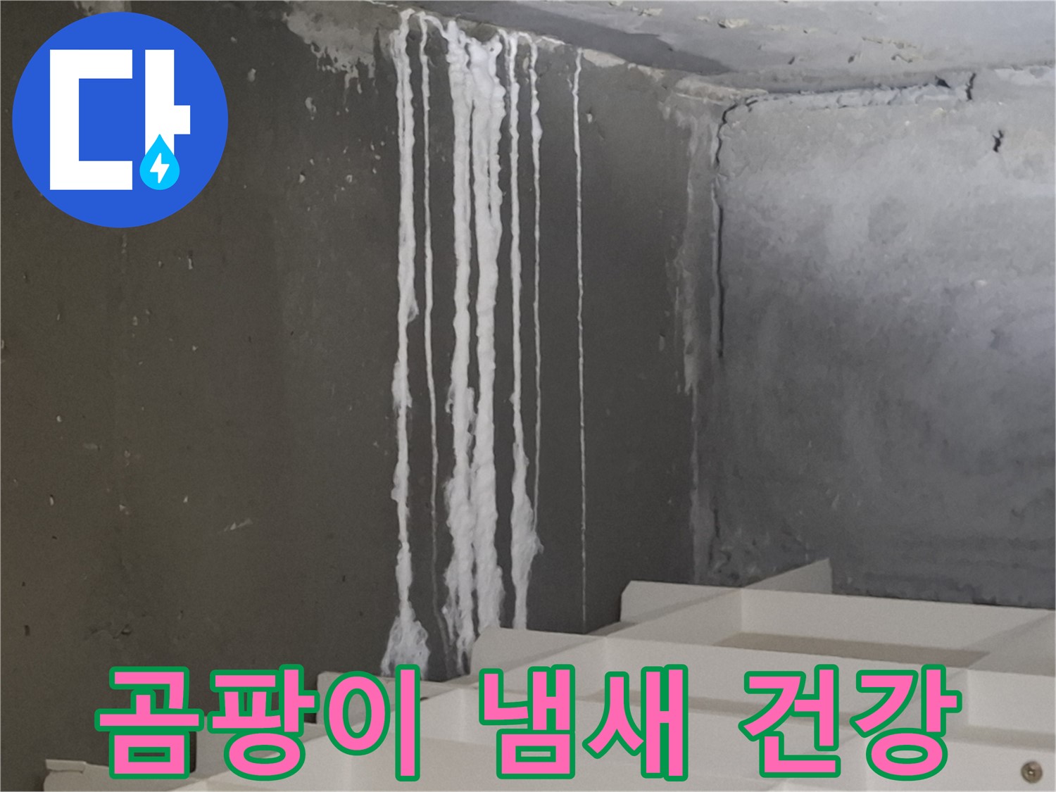 분당구 삼평동 봇들마을 아파트 누수 - 계단 '하얀 곰팡이' 누수는 냄새를 유발하고 건강을 위협합니다.