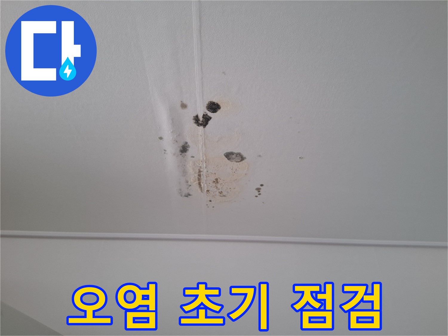 분당구 삼평동 봇들마을2단지 아파트 - 천장 오염은 누수 초기 증상일 수 있으니 - 빠른 점검을 받아보세요.