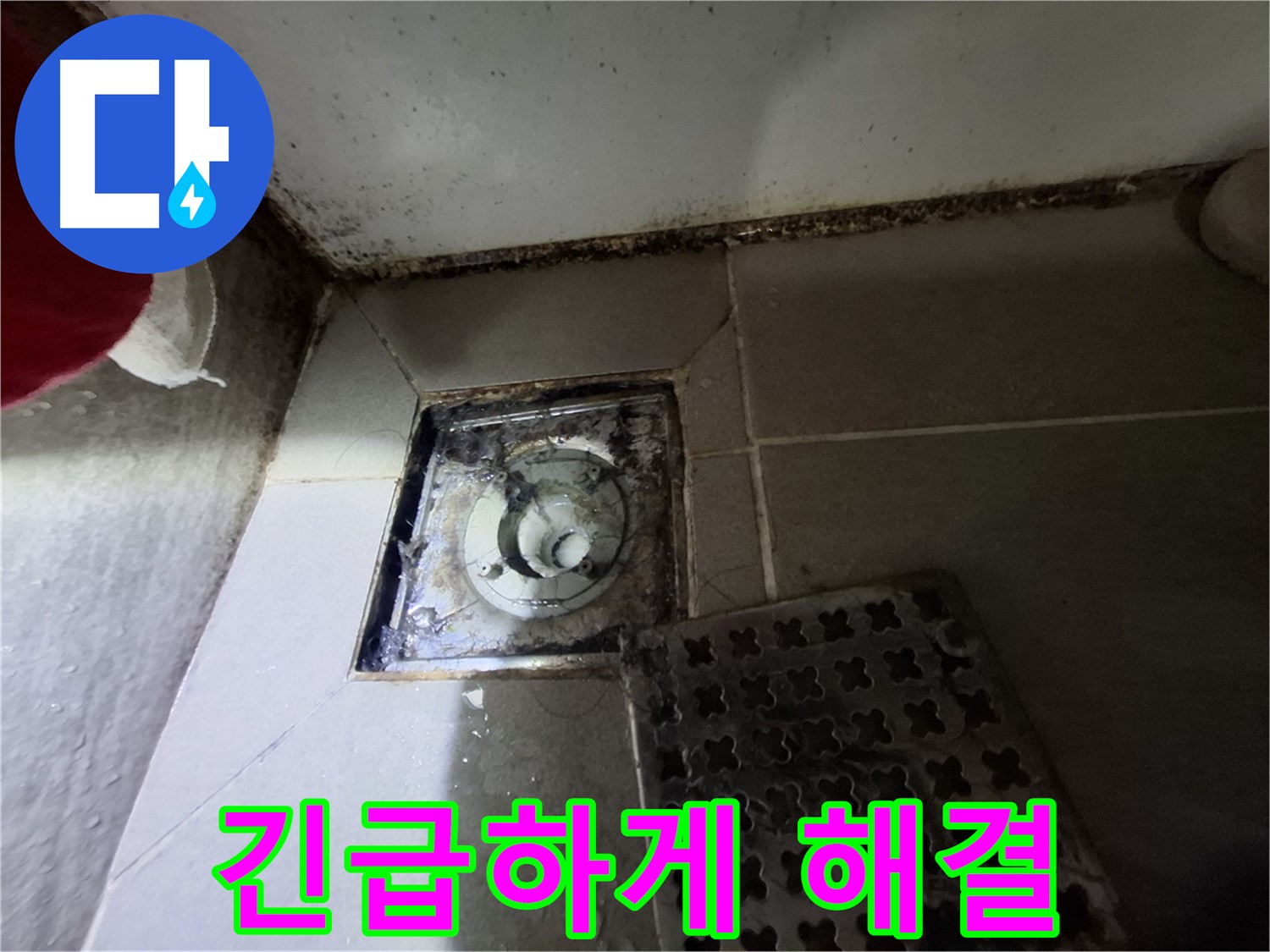 분당구 삼평동 봇들마을2단지 욕실 - 곰팡이 - 긴급 해결