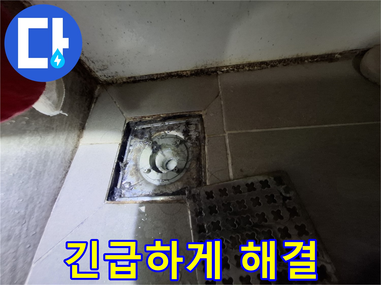 분당구 삼평동 봇들마을2단지 욕실 - 곰팡이 - 긴급 해결