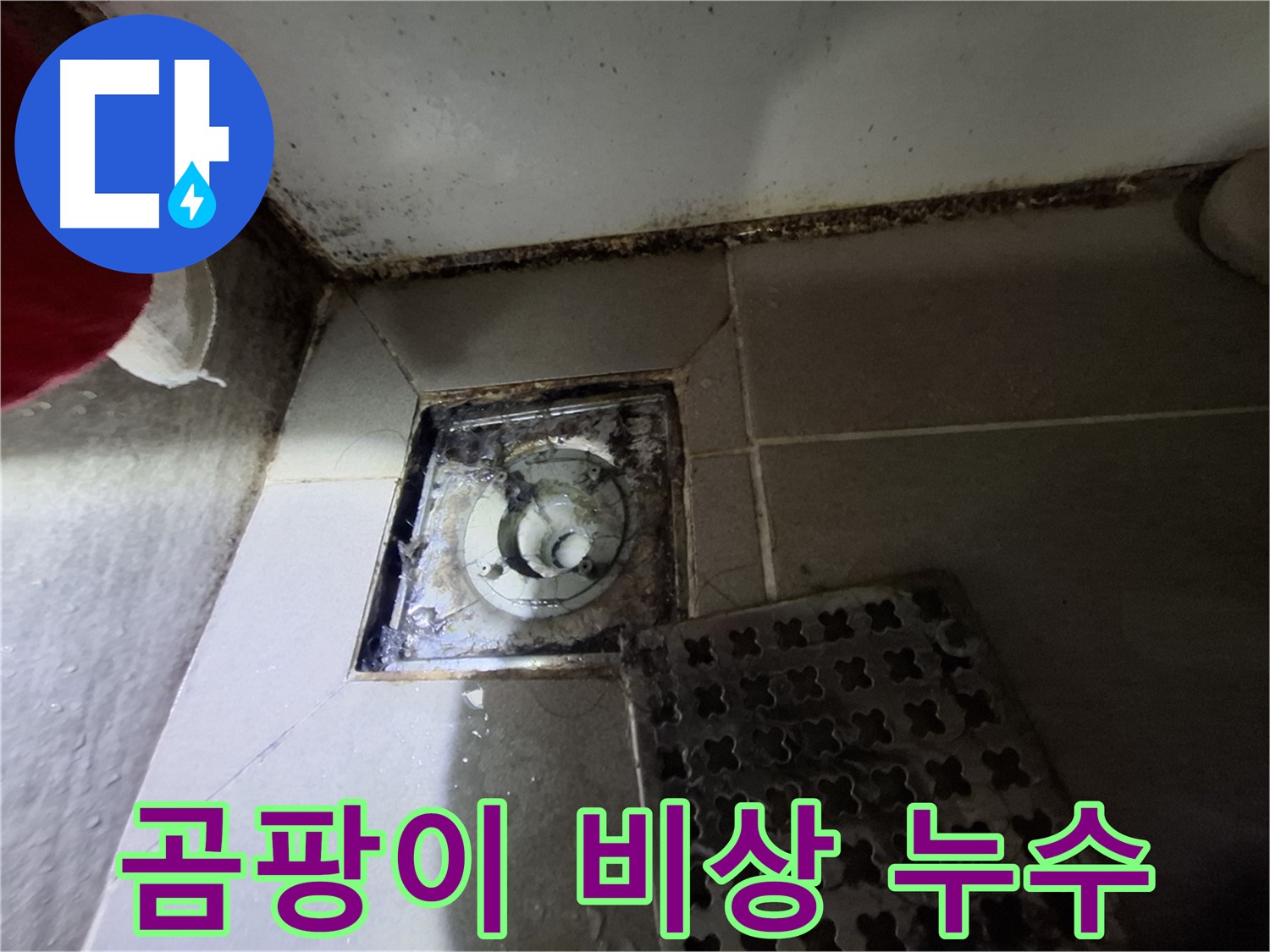 분당구 삼평동 봇들마을2단지 욕실 - 곰팡이 비상, 긴급 점검 필요