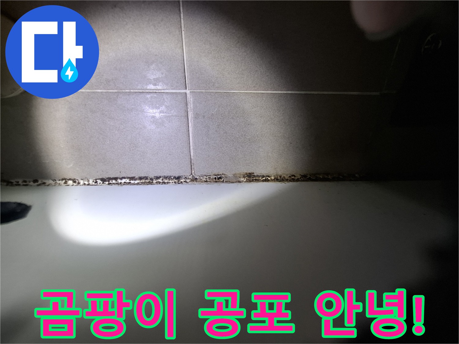 욕조 곰팡이 - 곰팡이 공포, 이제 저희가 해결해 드립니다!