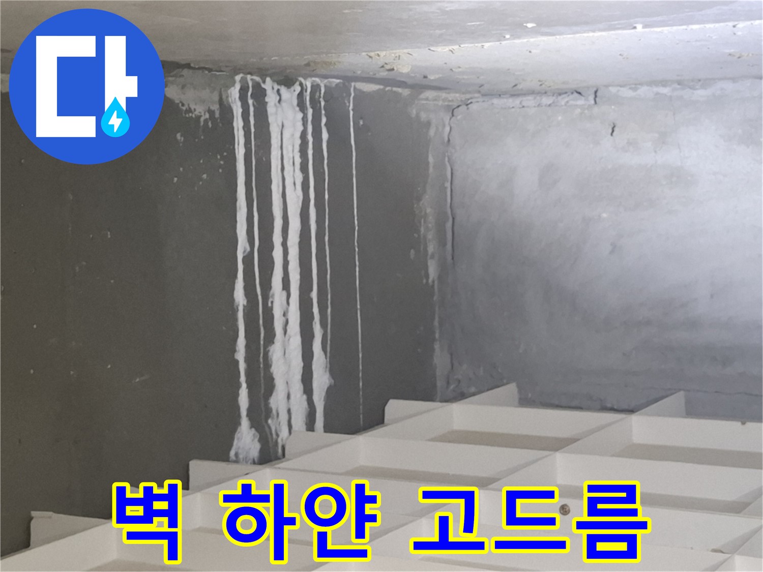 삼평동 누수 - 벽에 맺힌 하얀 고드름, 누수와 관련된 석회 성분일 가능성 진단