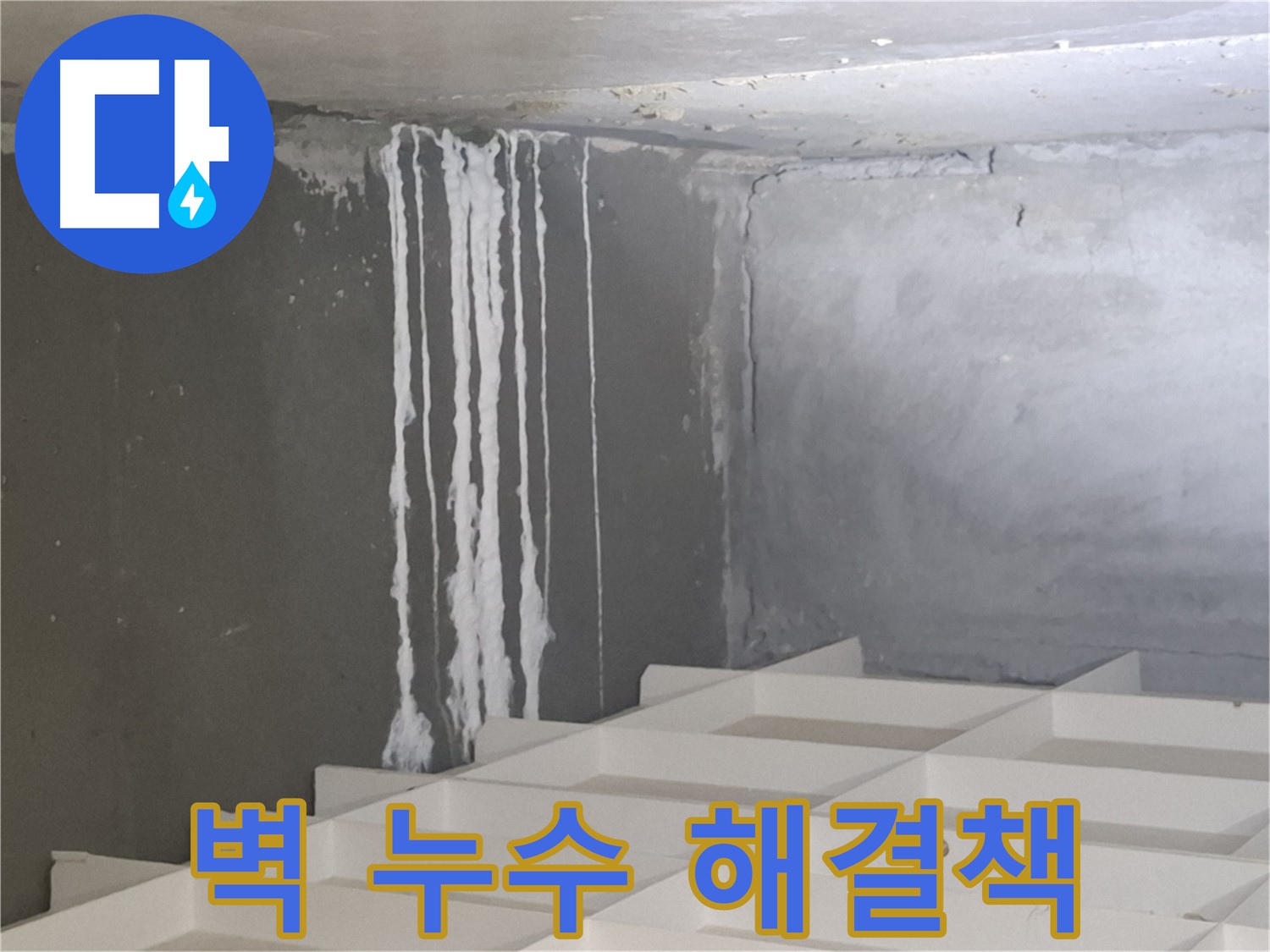 삼평동 누수 - 콘크리트 벽 누수 문제, 더 이상 고민하지 마시고 전문가에게 맡기세요