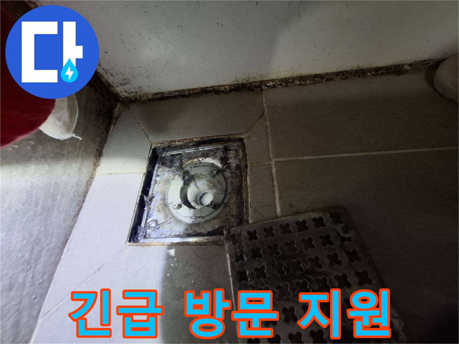 삼평동 봇들마을2단지 욕실 - 24시간 긴급 방문, 신속한 누수 해결 지원