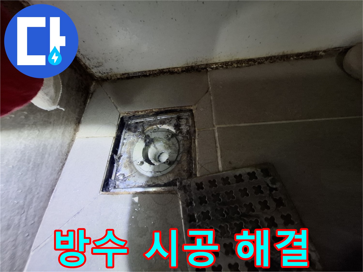 삼평동 봇들마을2단지 욕실 - 곰팡이 제거, 완벽 방수 시공으로 해결