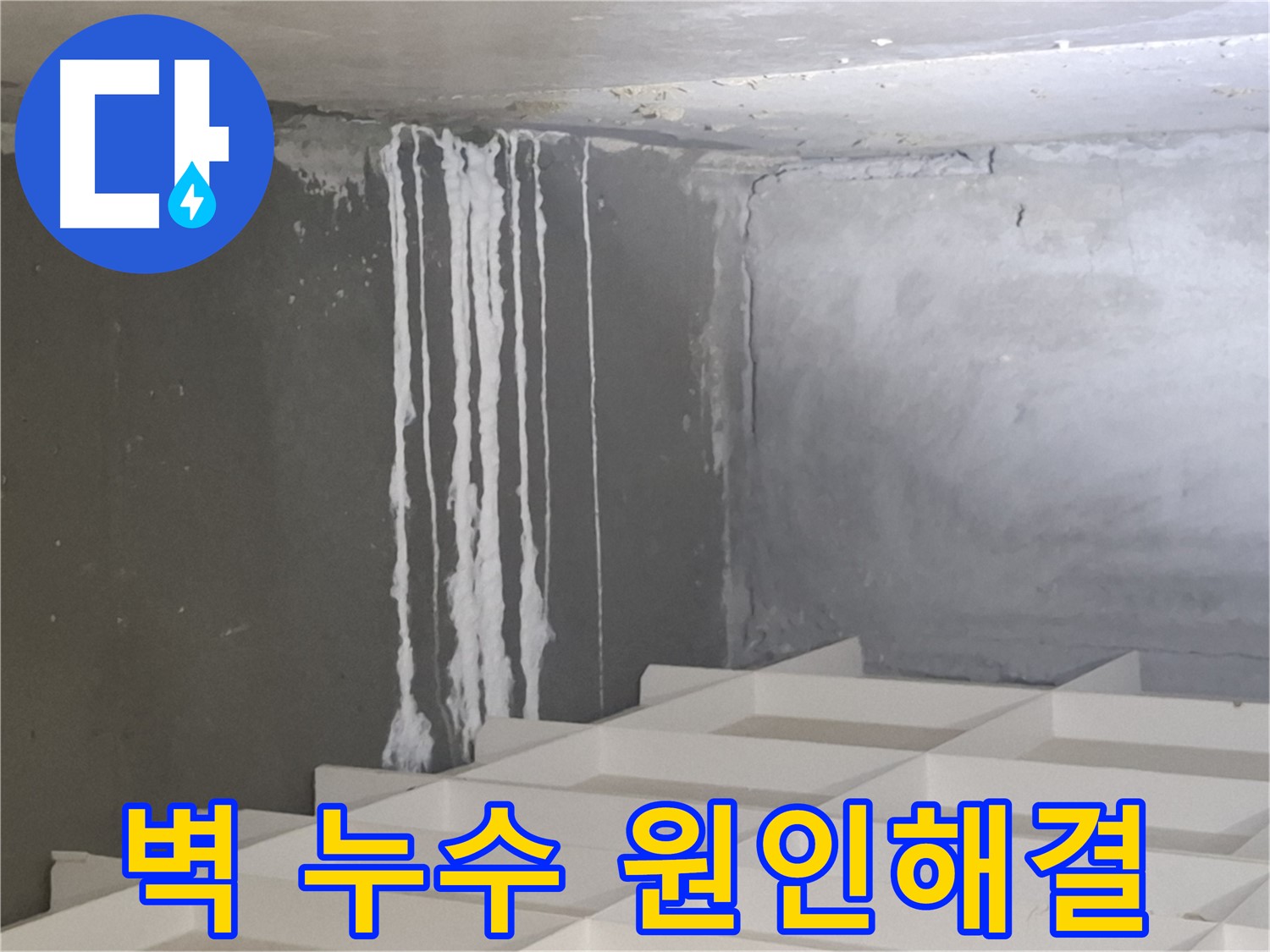 삼평동 아파트 누수 - 콘크리트 벽 누수 원인 분석 및 효과적인 해결 방법 제시
