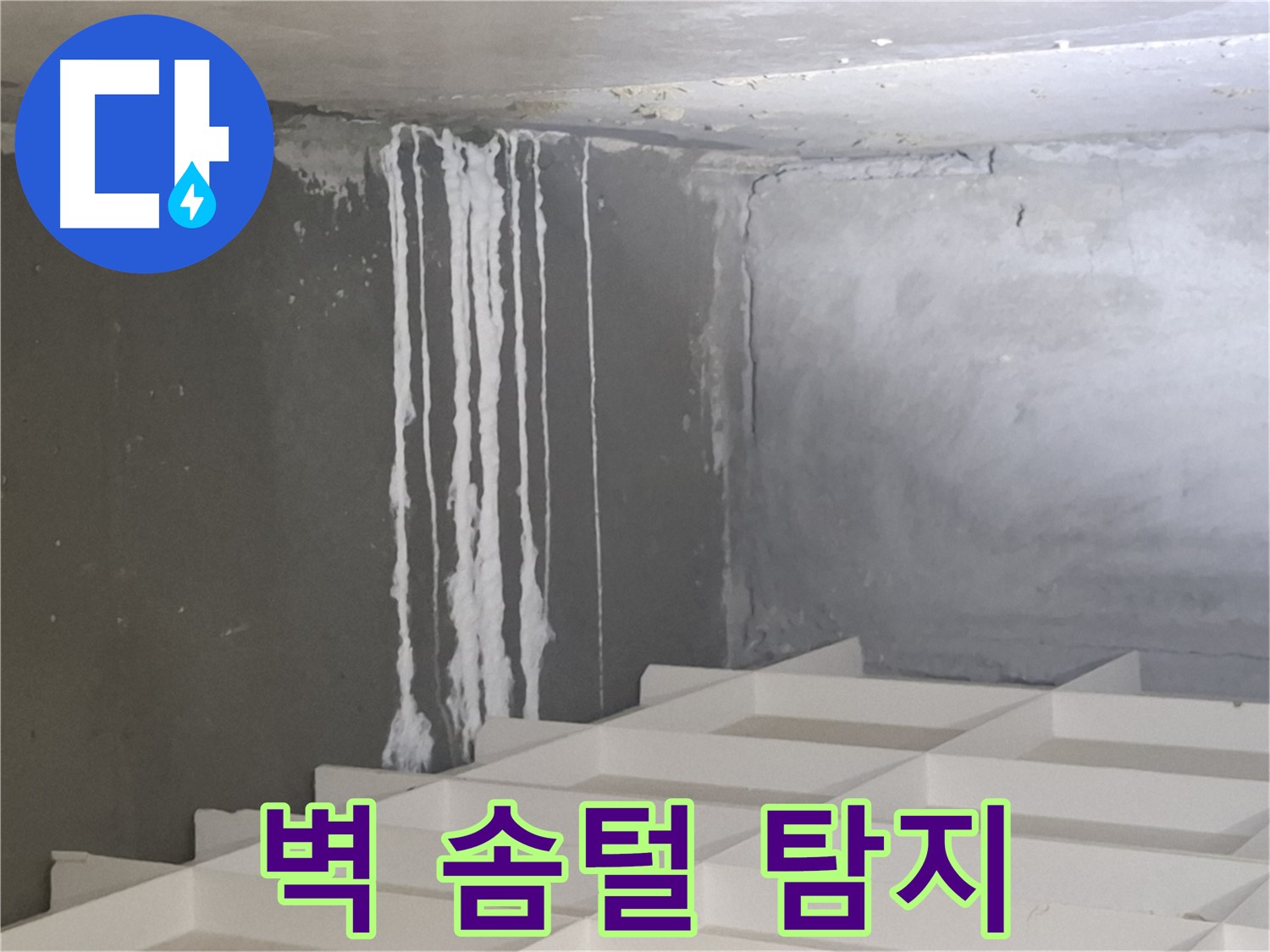 삼평동 아파트 누수탐지 - 콘크리트 벽에 생긴 솜털, 숨겨진 누수 원인 꼼꼼히 파헤치기