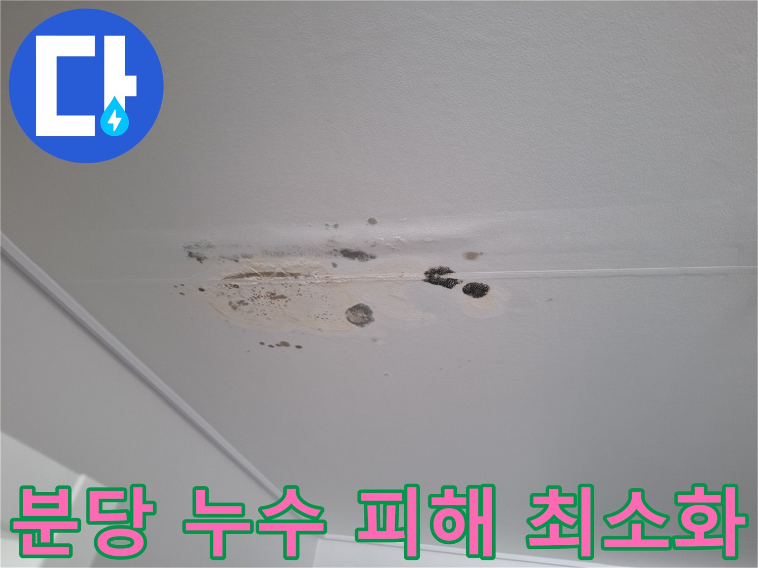 누수 피해 최소화 - 완벽한 누수 해결을 통해 추가 피해 방지