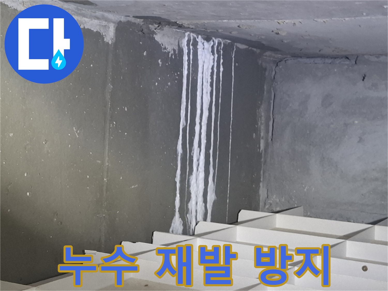성남 분당 봇들마을 누수 - 재발 방지를 위한 확실한 시공!
