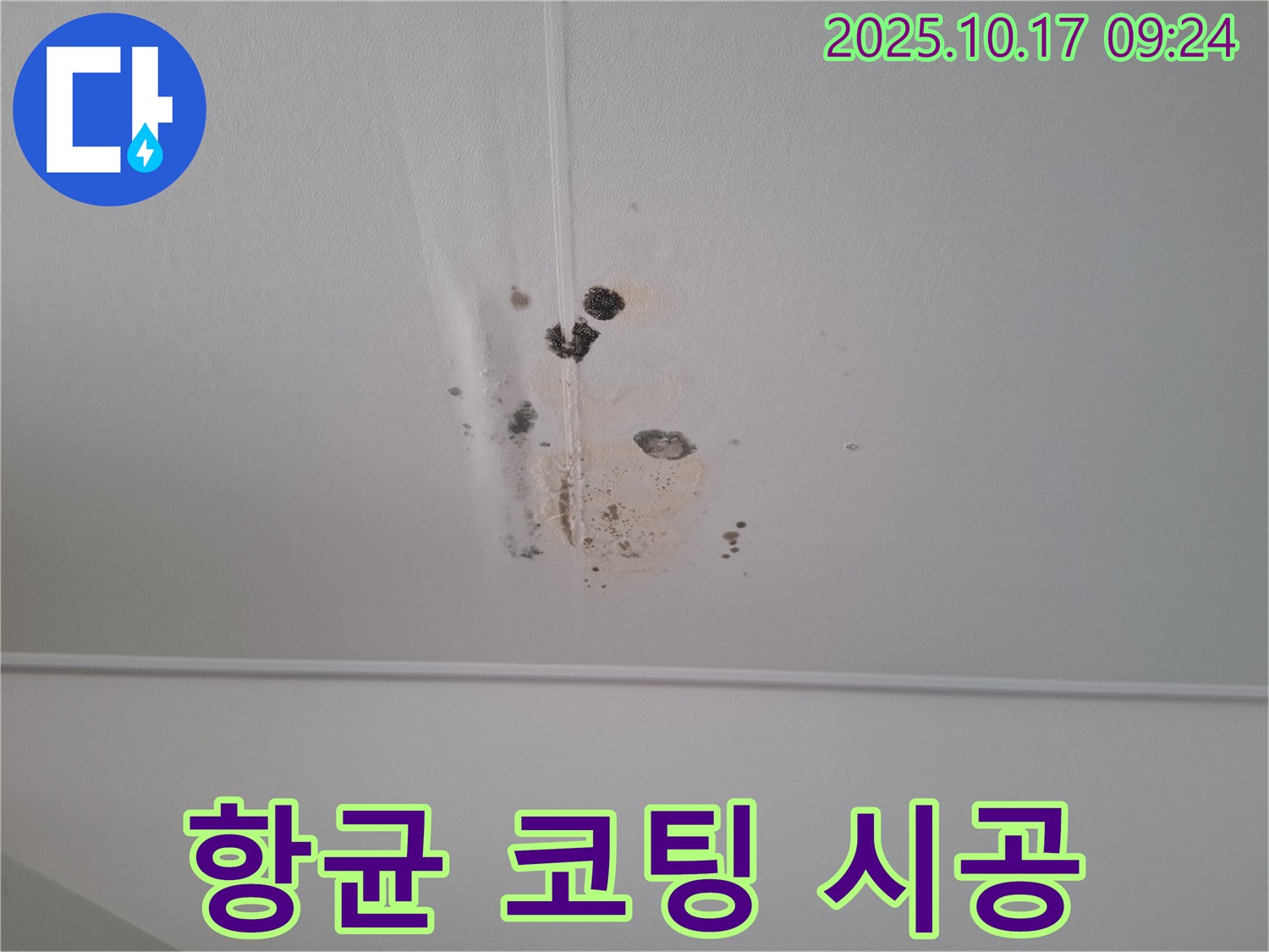 성남 분당 봇들마을 아파트 천장 누수 - 곰팡이 제거 후 항균 코팅 시공