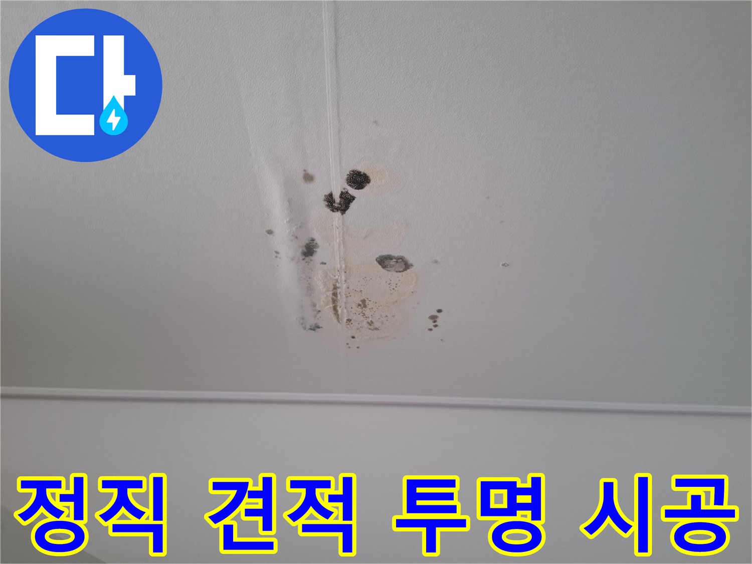 성남 삼평동 봇들마을2단지 아파트 - 정직한 견적과 투명한 시공 과정을 약속드립니다.
