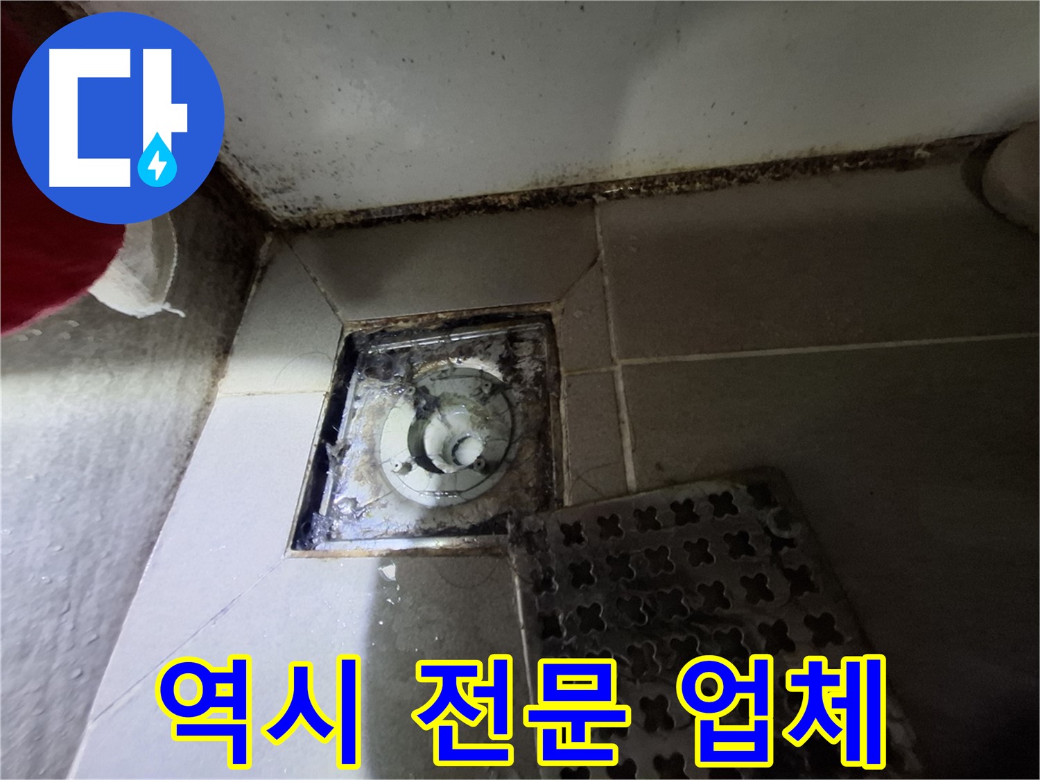 성남시 분당구 삼평동 봇들마을2단지 욕실 - 역시 전문 업체