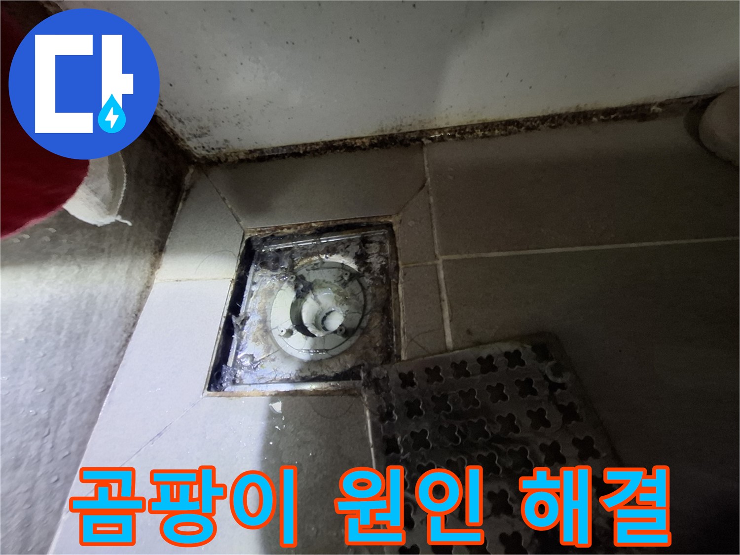 성남시 삼평동 봇들마을2단지 욕실 - 곰팡이 원인 파악 및 해결
