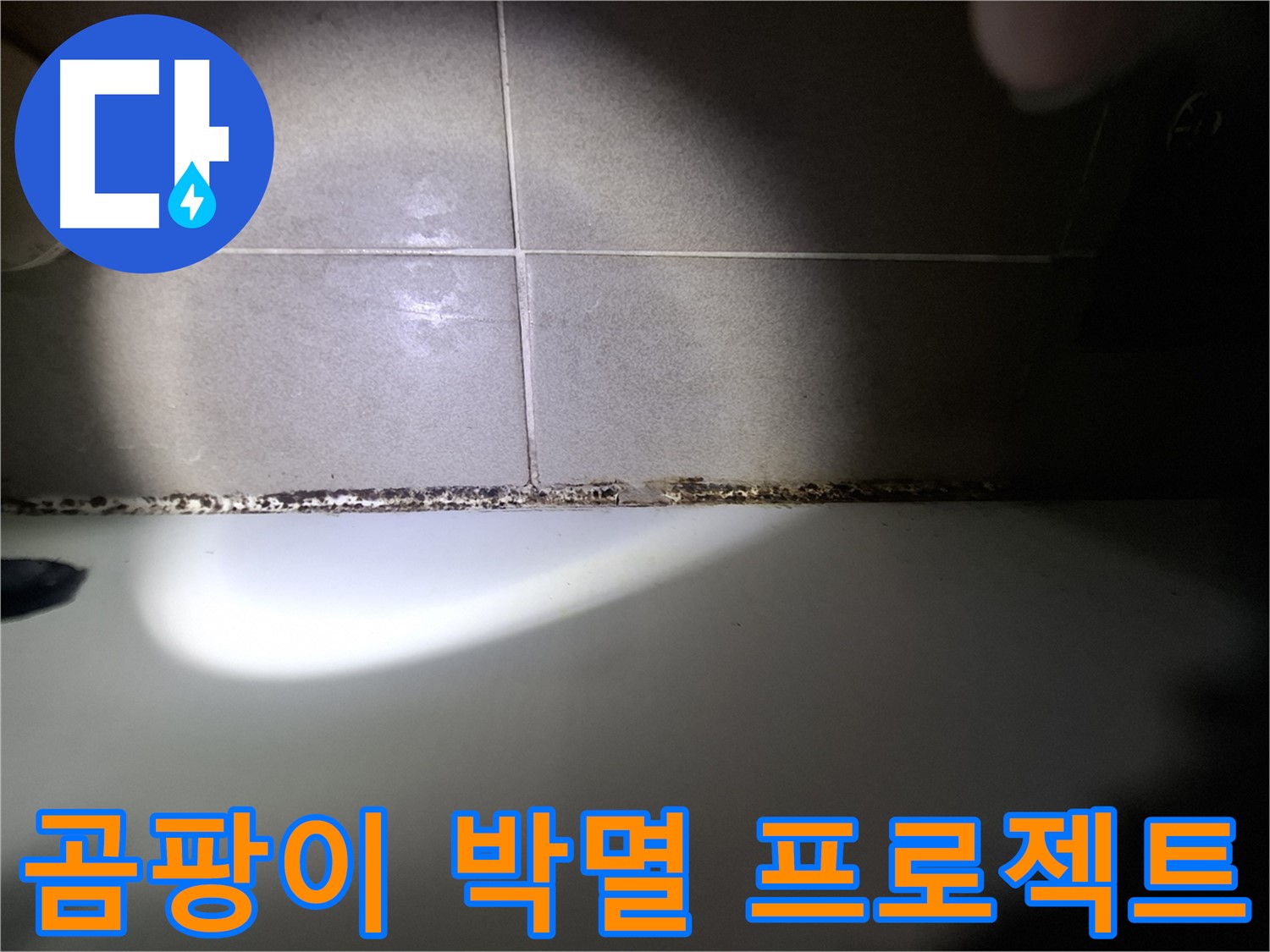 욕조 곰팡이 제거 - 곰팡이 박멸을 위한 완벽 시공